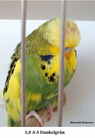 2010 015.png